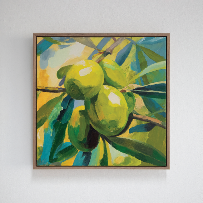 Light Through The Olive Branch